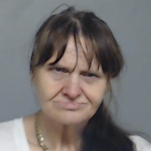 Mugshot of LISA ANN SALINAS
