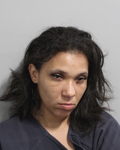Mugshot of TAMYRE NICOLE WILLIAMS