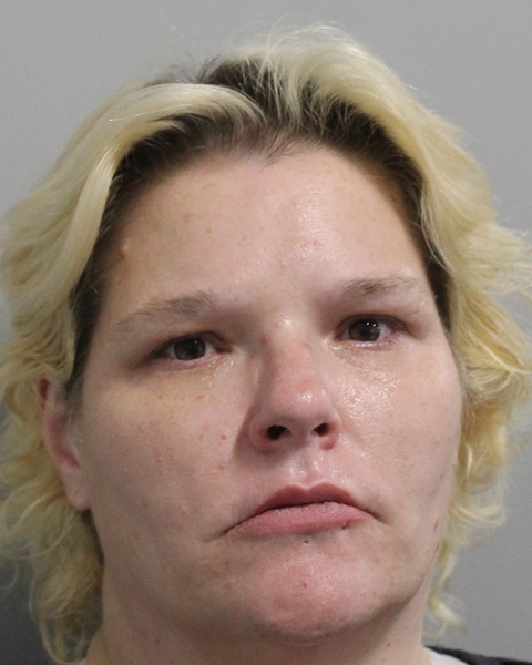 Mugshot of BRITTANY NICOLE REEVES