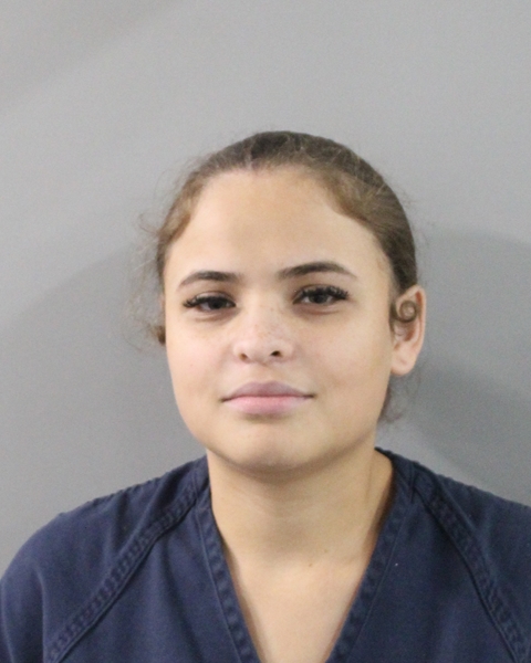 Mugshot of JAMARIS HERNANDEZ