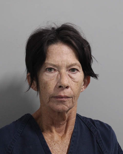 Mugshot of MELISSA ANN JENKINS