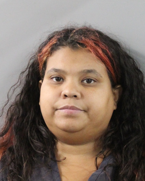 Mugshot of LAQUISHA RENEE SANTIAGO
