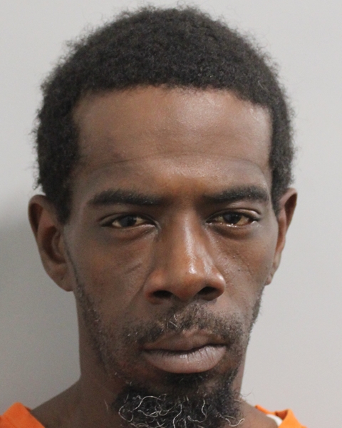 Mugshot of DAVID WILLIAMS
