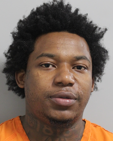 Mugshot of WIDLEY PAUL OLIVIER