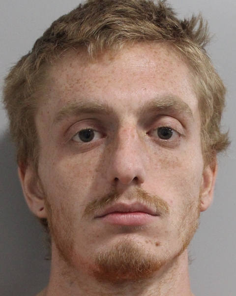 Mugshot of NATHANIEL JOHNSTON