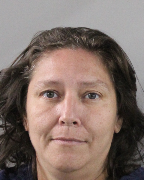 Mugshot of VERONICA LYNN KULOVITZ