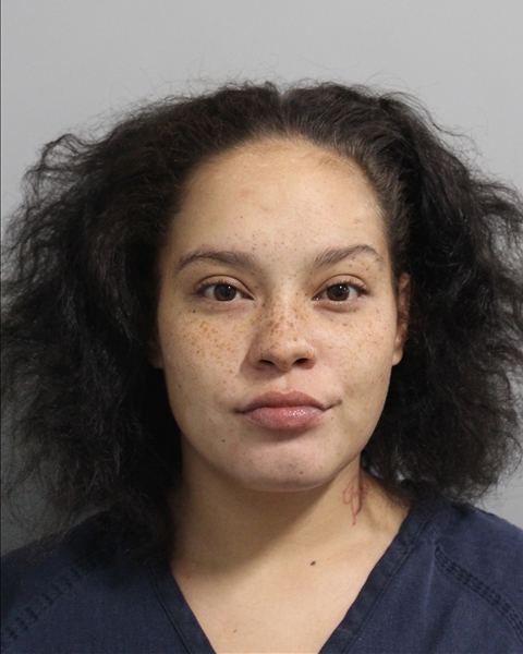 Mugshot of LILYIAN YVONNE SMITH