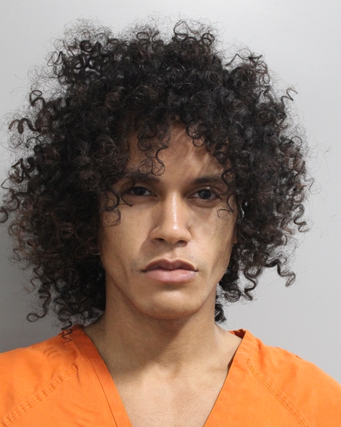 Mugshot of ISRAEL RIVERA