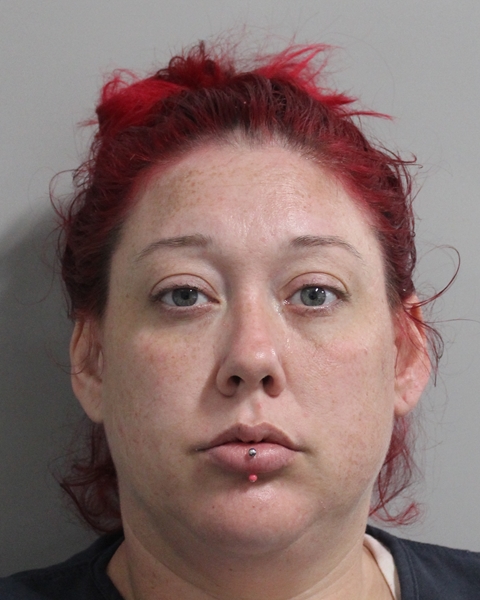 Mugshot of LINDSEY LINNEA PARKER