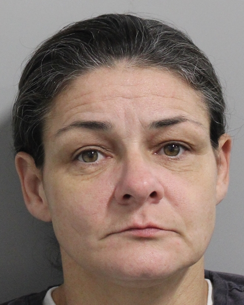 Mugshot of DEBORAH APPLEGATE
