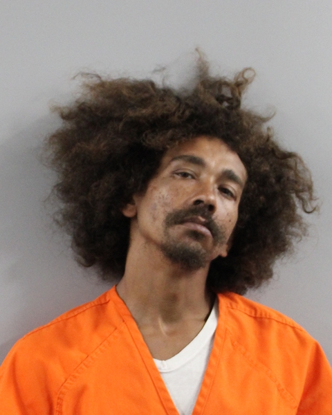 Mugshot of PHILIP SHON WHITE JR