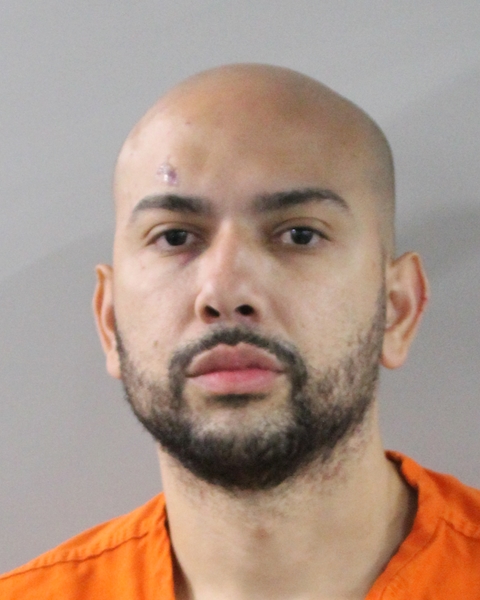 Mugshot of ISMAEL FERNANDEZ