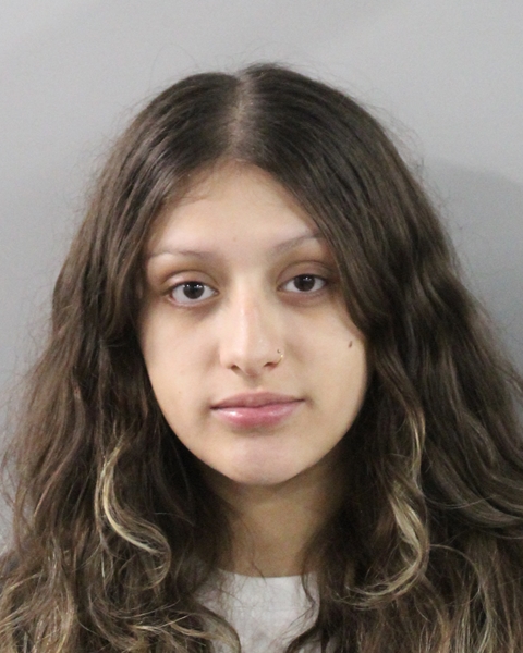 Mugshot of EVA AMORE MENDEZ-PIMIENTA