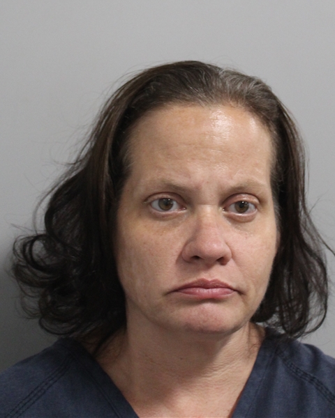 Mugshot of MELISSA MARAGRET JOHNSON