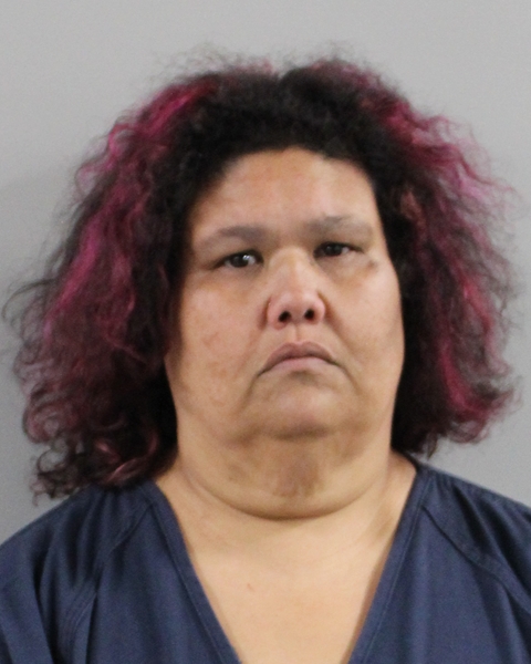 Mugshot of GEYSA SALGADO