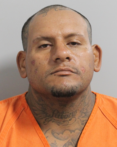No mugshot available