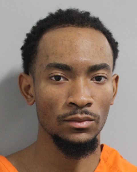 Mugshot of REGINALD LOUIS EMBRY
