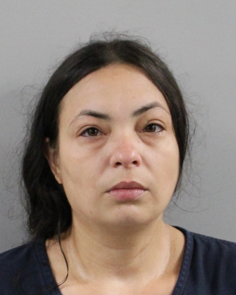Mugshot of MARILUZ GARCIA MOLINA