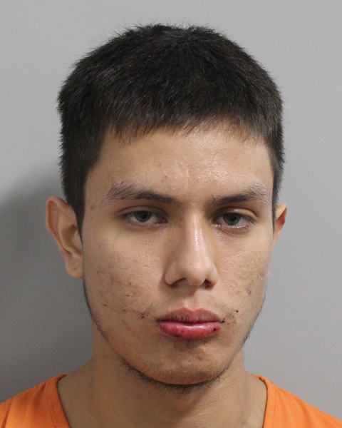 Mugshot of LEONARDO VILLICANA