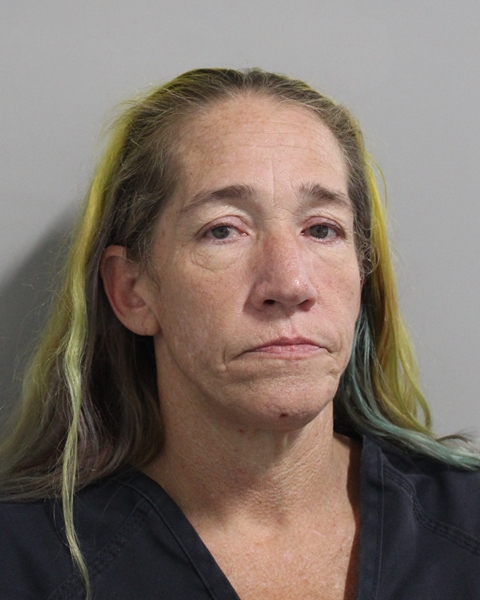 Mugshot of JAMIE LYNN DISNEY