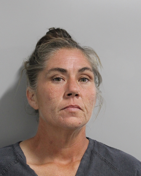Mugshot of JESSICA LEE HALL