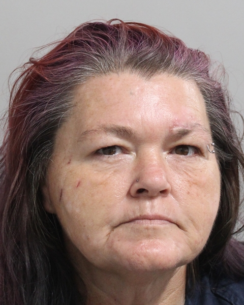 Mugshot of KRYSTYNA SUE HERNANDEZ