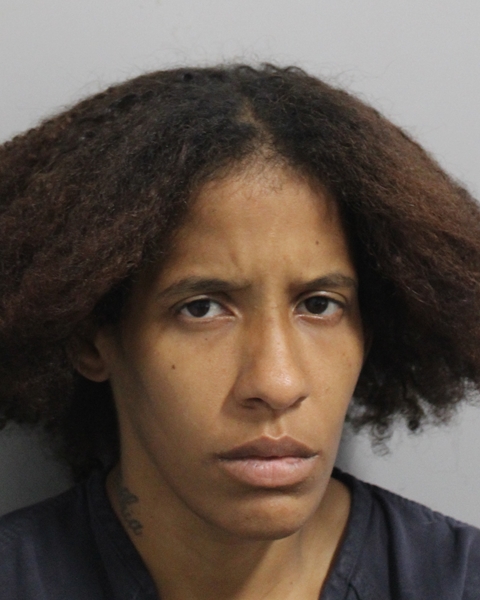 Mugshot of JEANNETTE ALEXIS SMITH