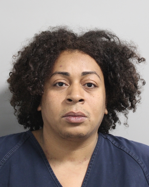 Mugshot of BELMARIE PIZARRO MARTELL