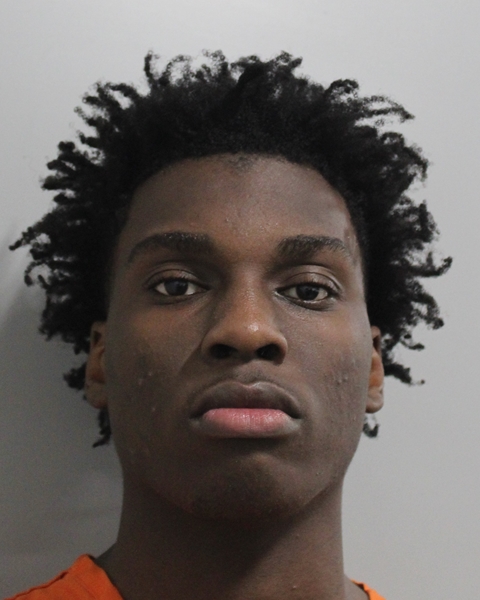 Mugshot of ANDREW ALAIN HERCULE II