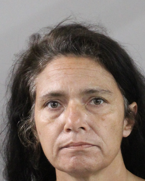 Mugshot of LISA LOWNSBERY