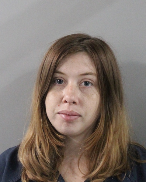 Mugshot of MEGAN CHEATHAM