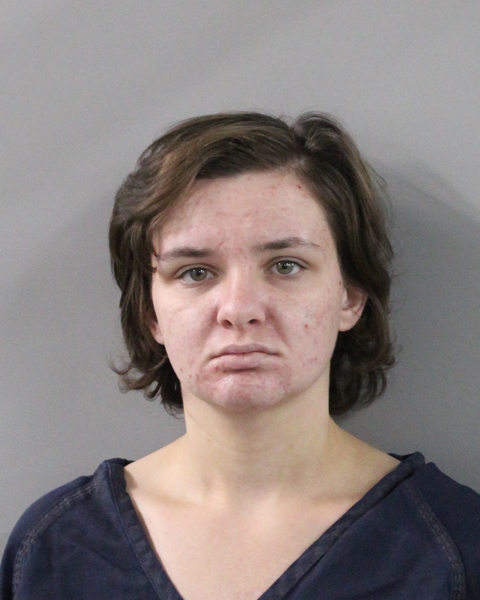 Mugshot of EMILY ROSE MODJESKI