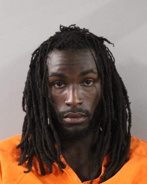 Mugshot of DERRICK JAMES ROBINSON