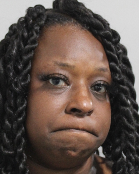 Mugshot of SHEALYN DENISE ALLEN