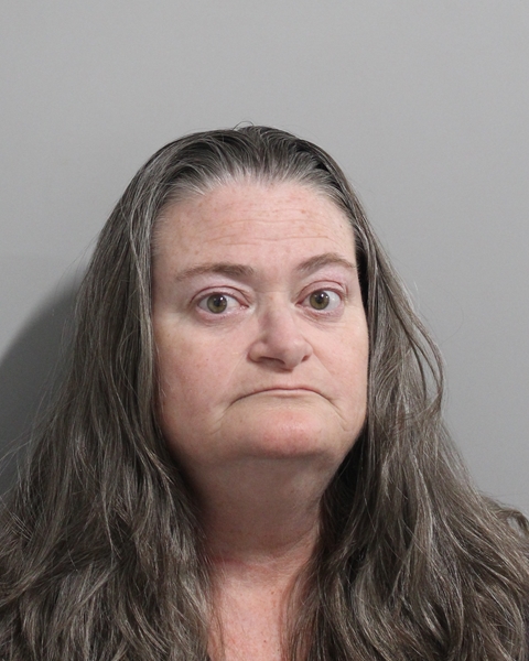 Mugshot of DONNA CROWDER-GLISSON