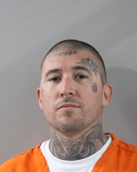 Mugshot of STEPHEN CHARLES MARLAND