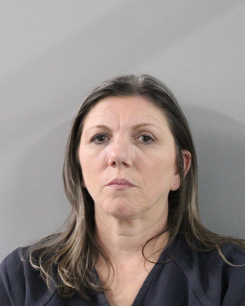 Mugshot of SHANNON RENEE BRUCE