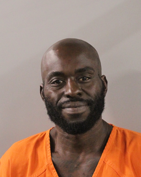 Mugshot of FREDDY LEE WEST