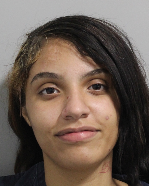 Mugshot of YAIRELIZ ORTIZ