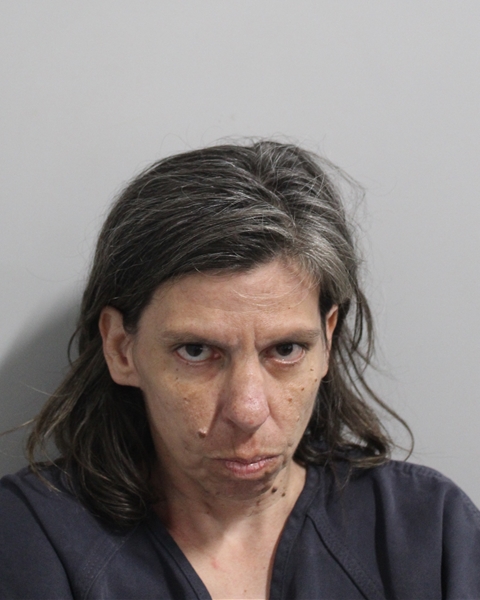 Mugshot of MARIELA HERNANDEZ