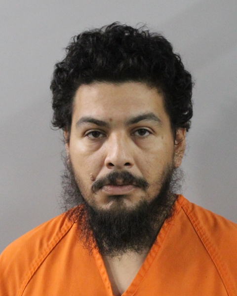 Mugshot of JOEL ARIAS