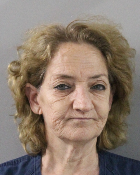 Mugshot of ELIZABETH RODRIGUEZ