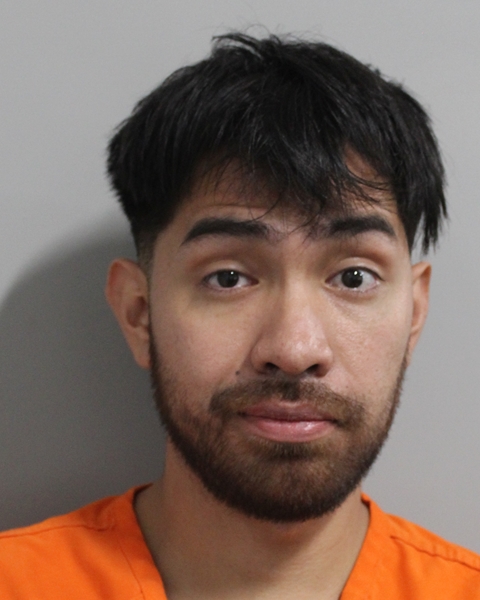 Mugshot of LUIS DELGADO