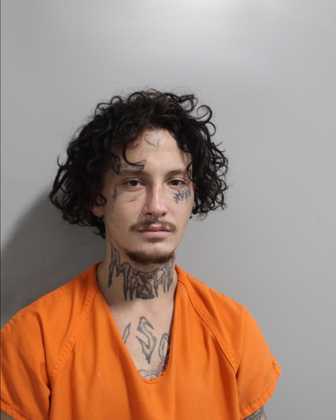 Mugshot of TREY ALEXANDER ANDERSON