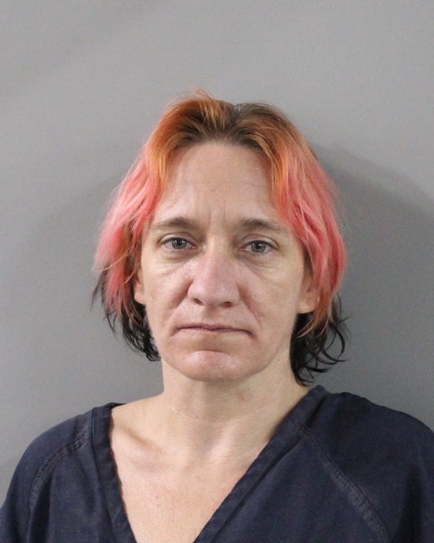 Mugshot of JESSICA MARIE COBAN