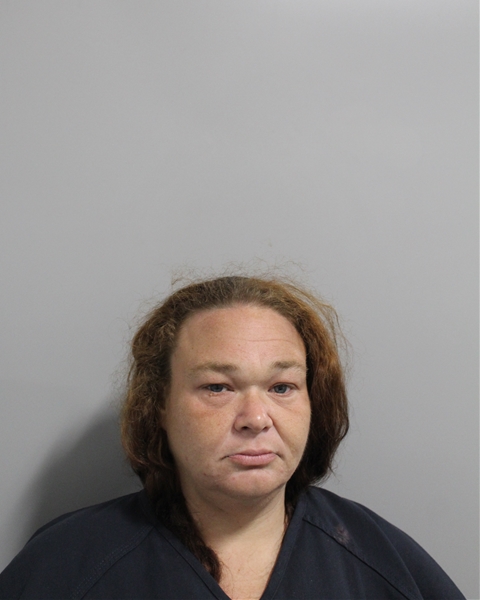Mugshot of BRENNA MARIE CLARK
