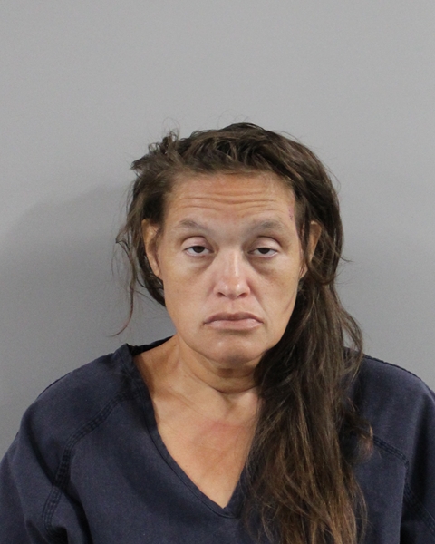 Mugshot of KAYLA BOSQUE