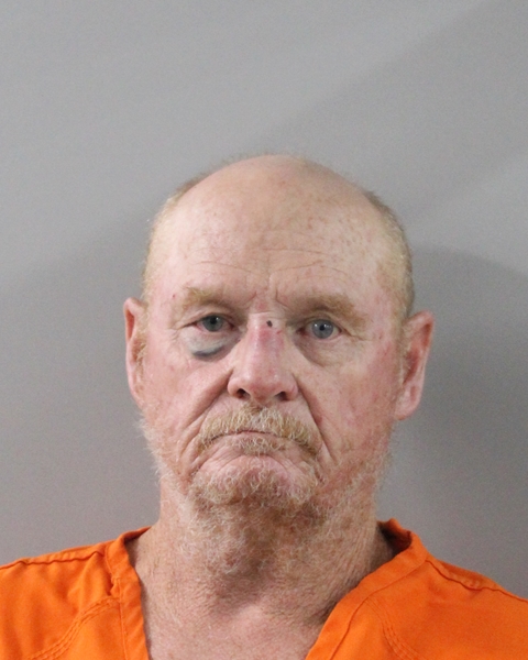 Mugshot of DAVID WALTERSON