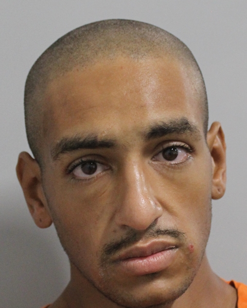 Mugshot of SETH ASHER NIEMAN