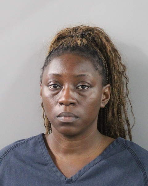 Mugshot of DIONNA NICOLE SMITH